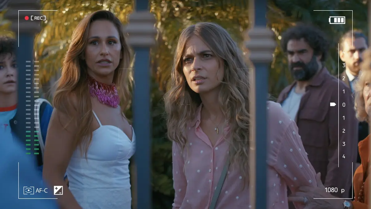 bg cover for Terra Forte