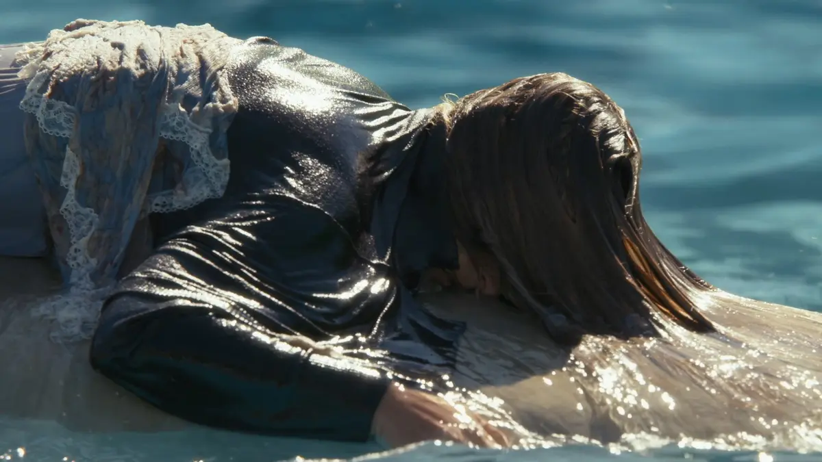 bg cover for Terra Forte