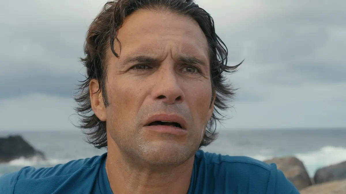 bg cover for Terra Forte