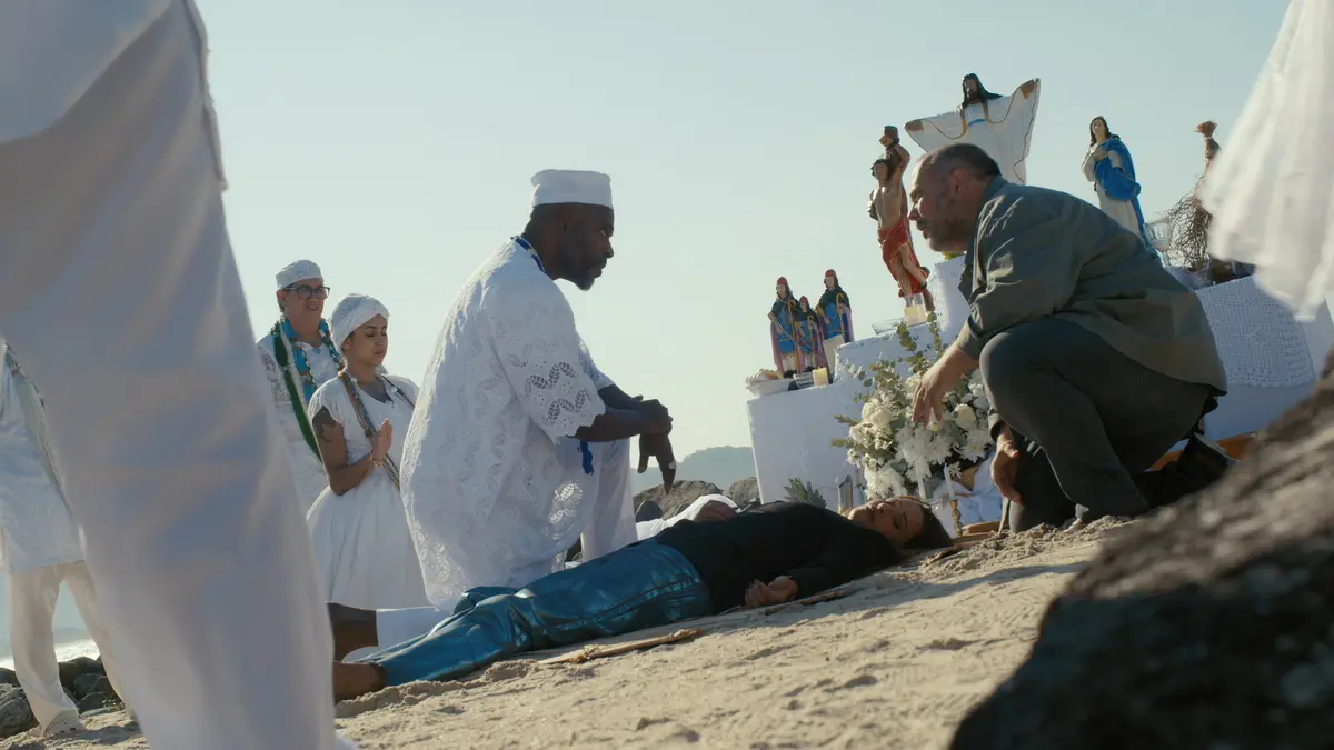 bg cover for Terra Forte